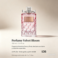 Perfume Velvet Bloom